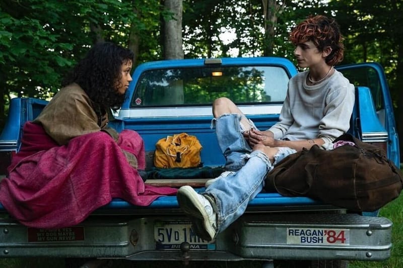 Timothée Chalamet Is All About Gore and Romance in the New 'Bones and All' Trailer