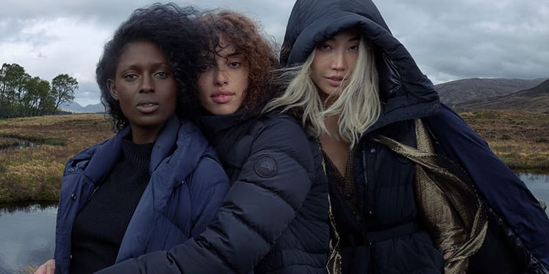 canada goose 2022