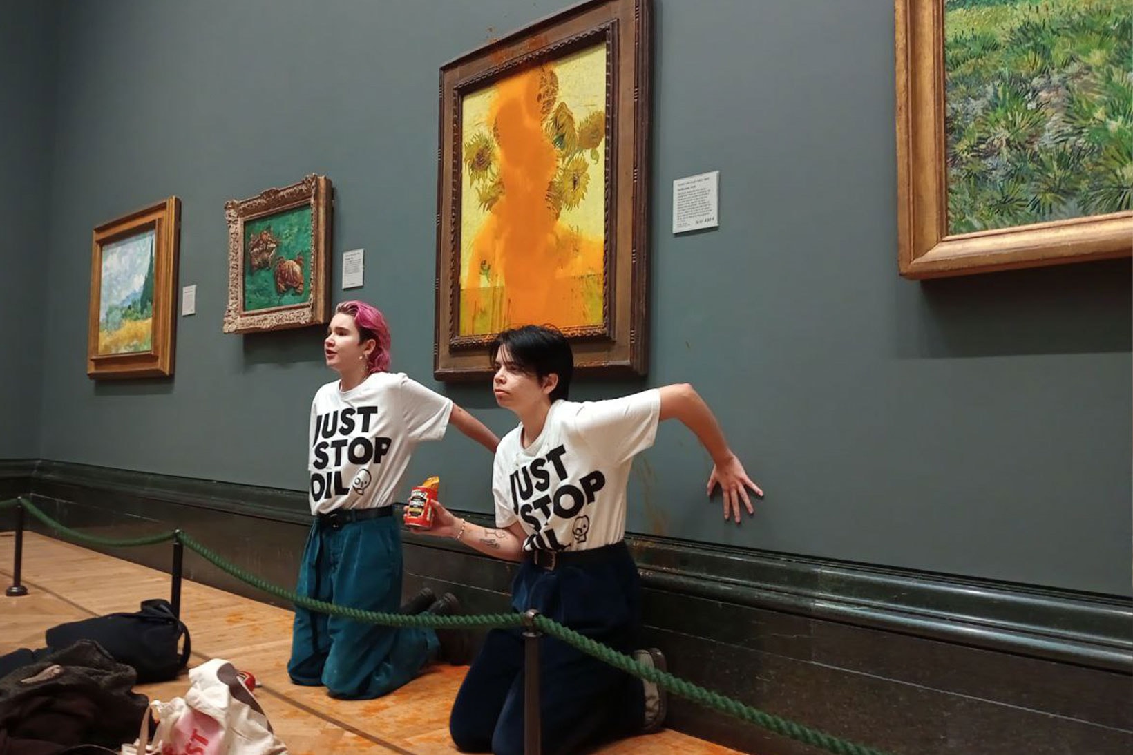 Van Gogh Sunflowers Anti Fossil Fuel Protestors Soup Can Damaged Charged Criminal Offense News
