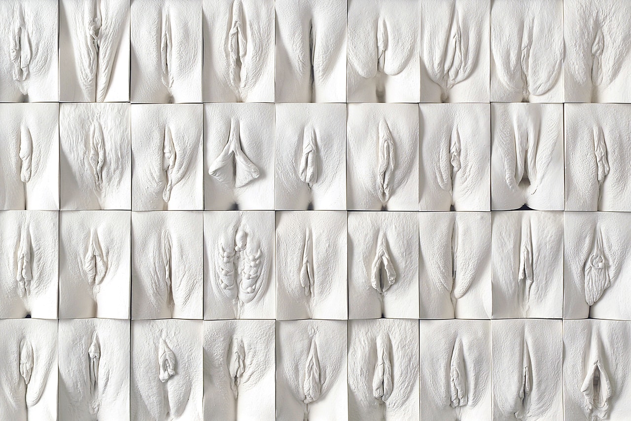 great wall of vagina close up panel