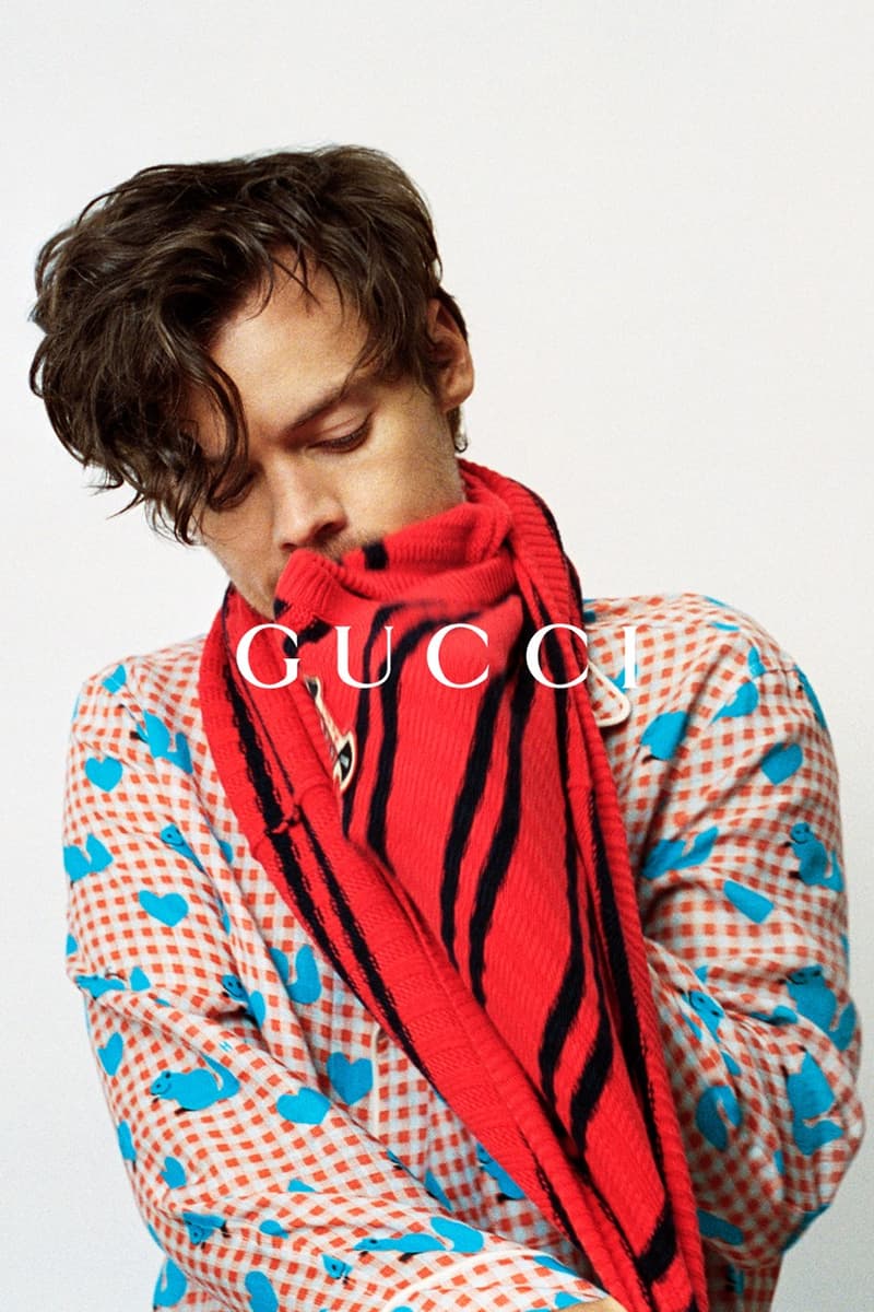 gucci harry styles collection