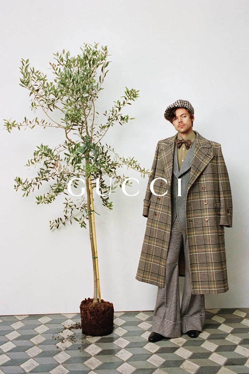 gucci harry styles collection