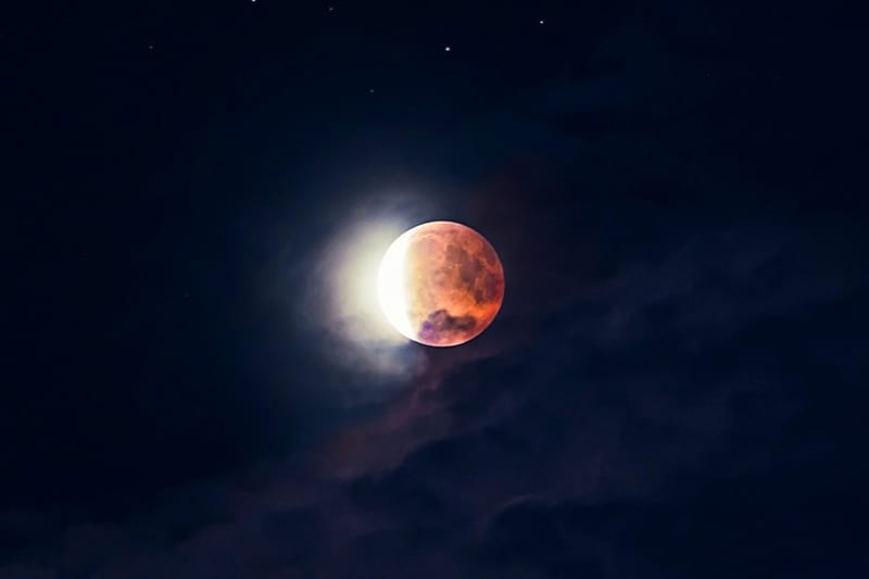 November Full Blood Moon Eclipse: A Tarot Reading for Your Zodiac Sign