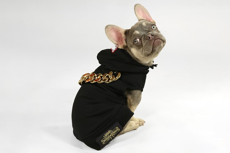 Snoop Dogg Launches Petwear Brand Snoop Doggie Doggs