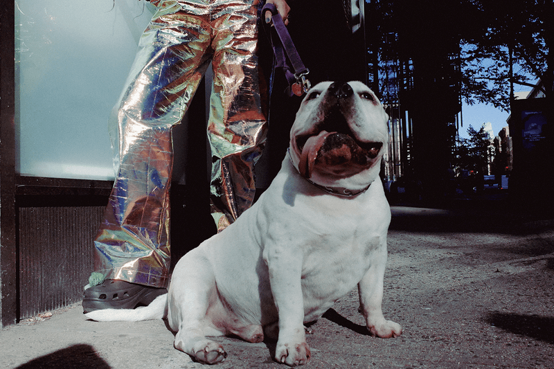 dames womens safety brand new york city self defense accessories fashion 