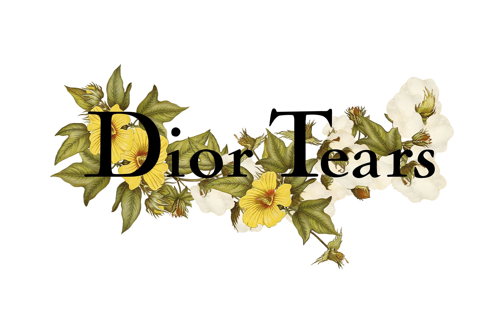Dior Tremaine Emory Denim Tears Menswear Pre-Fall 2023 Collaboration Cairo Show INfo