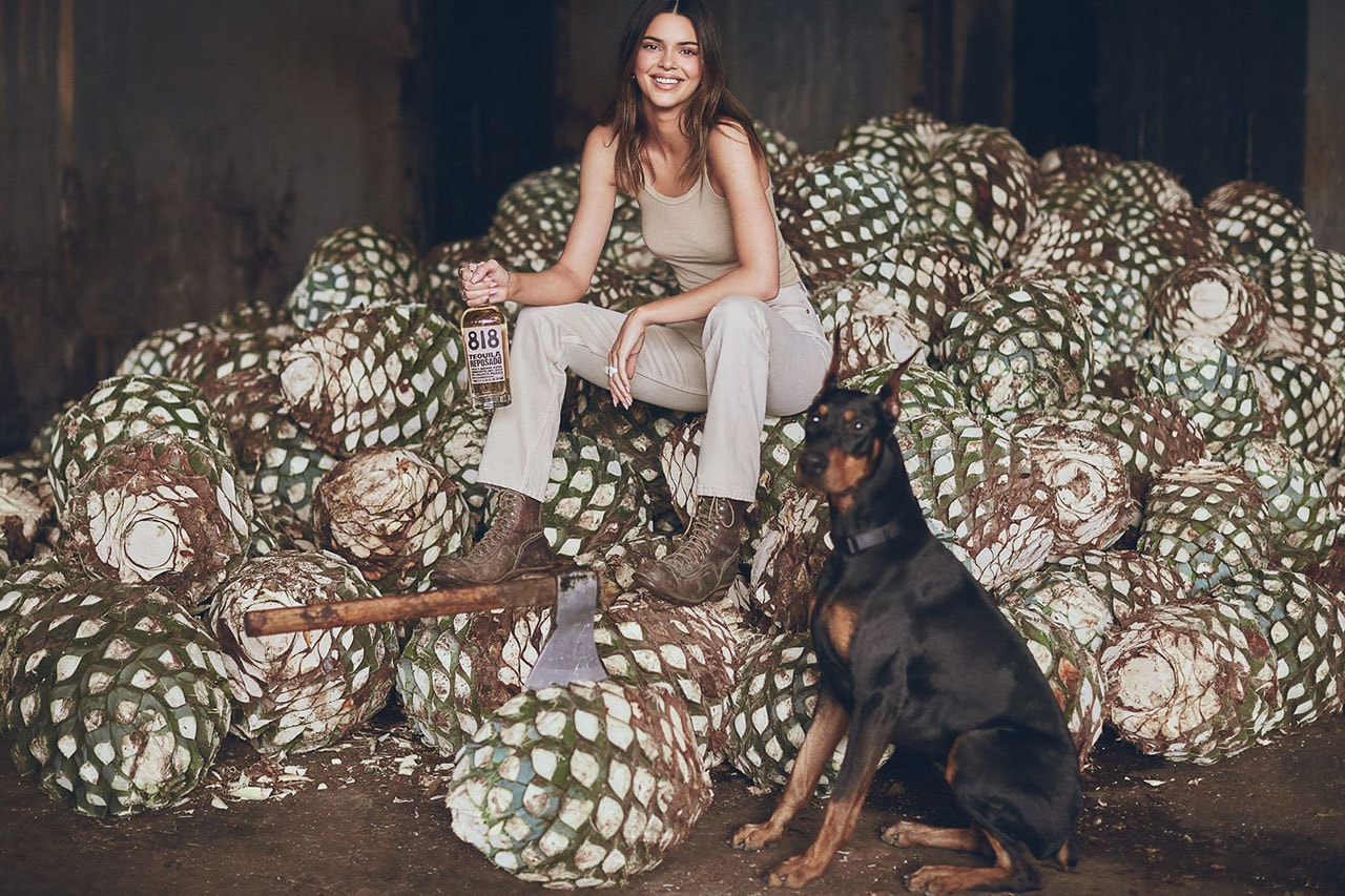 kendall jenner 818 tequila alcohol drink