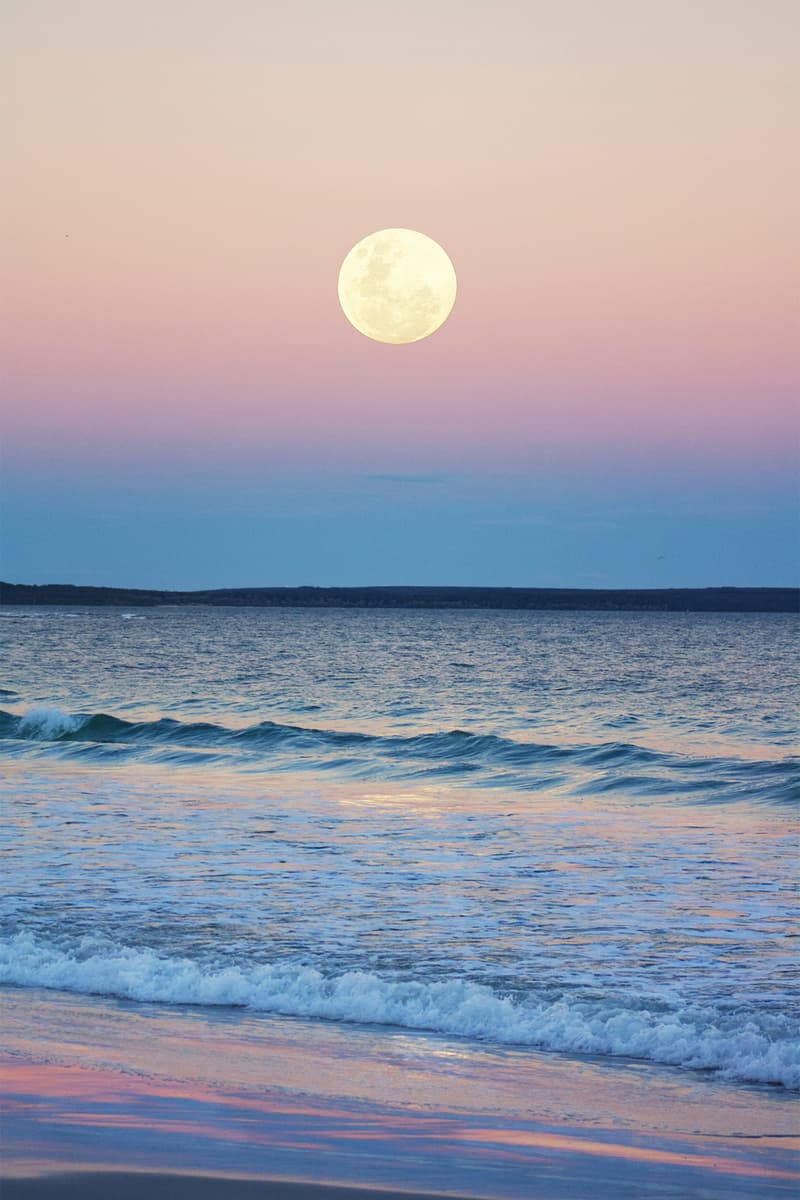 may full moon horoscope scorpio