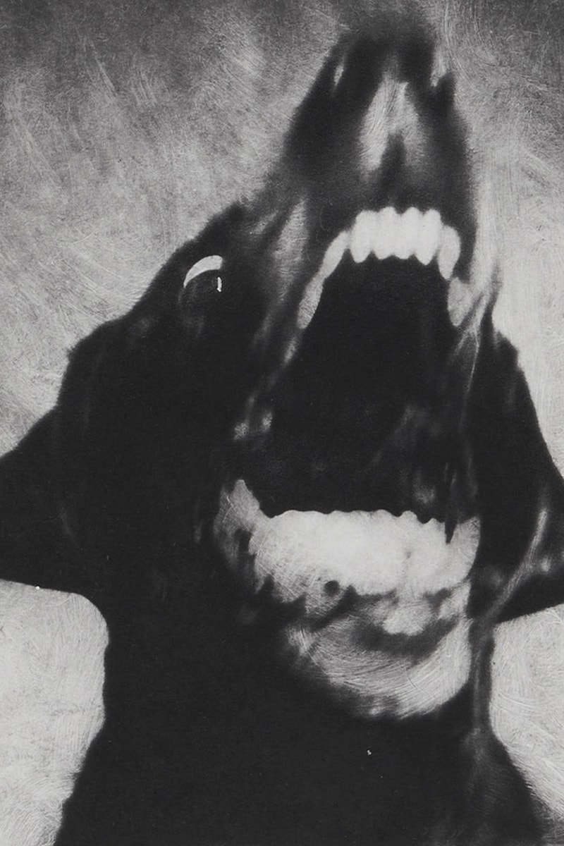 photographic etchings jack davison photo london cob gallery details