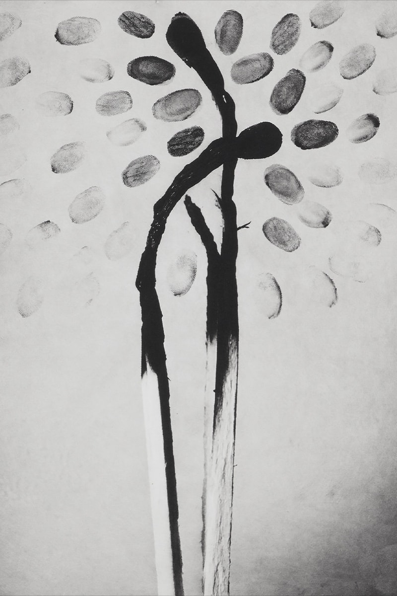 photographic etchings jack davison photo london cob gallery details