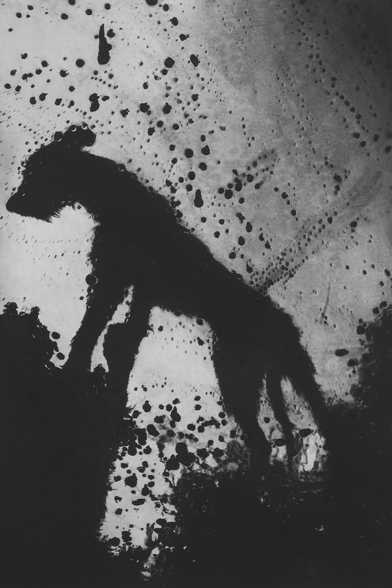 photographic etchings jack davison photo london cob gallery details