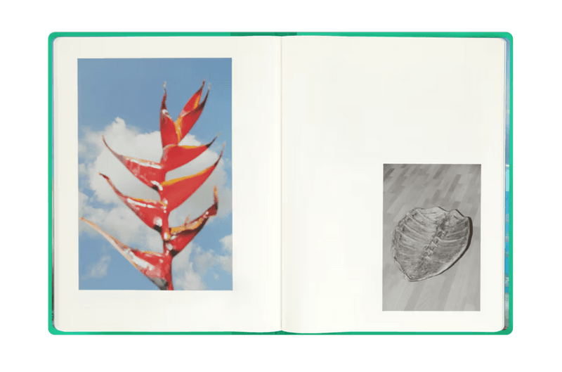 louis vuitton fashion eye book travel tahiti italian riviera photography