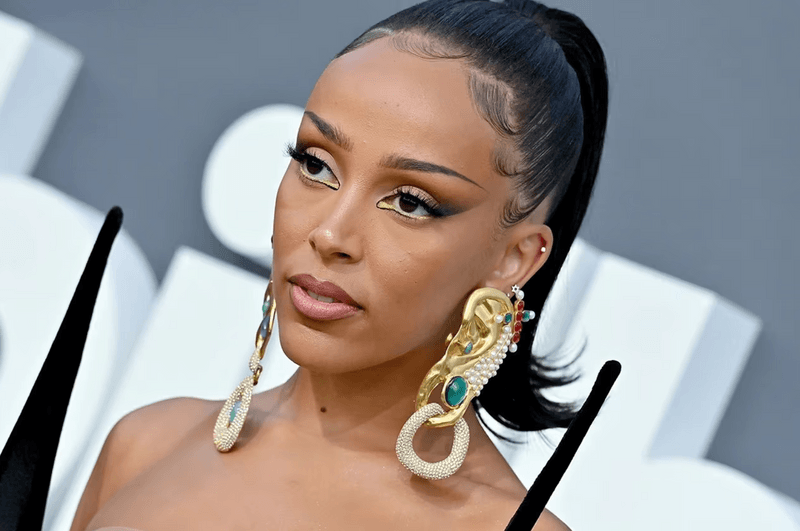 doja cat twitter rant instagram followers fans