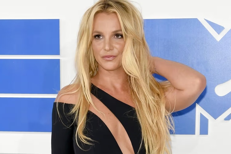 Britney Spears Slapped by San Antonio Spurs Security