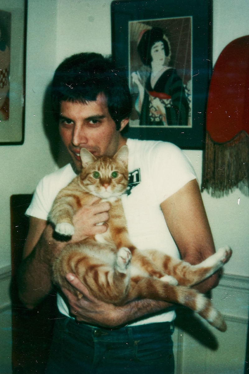 freddie mercury a world of his own cats auction sothebys