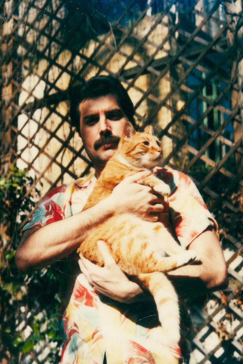 freddie mercury a world of his own cats auction sothebys