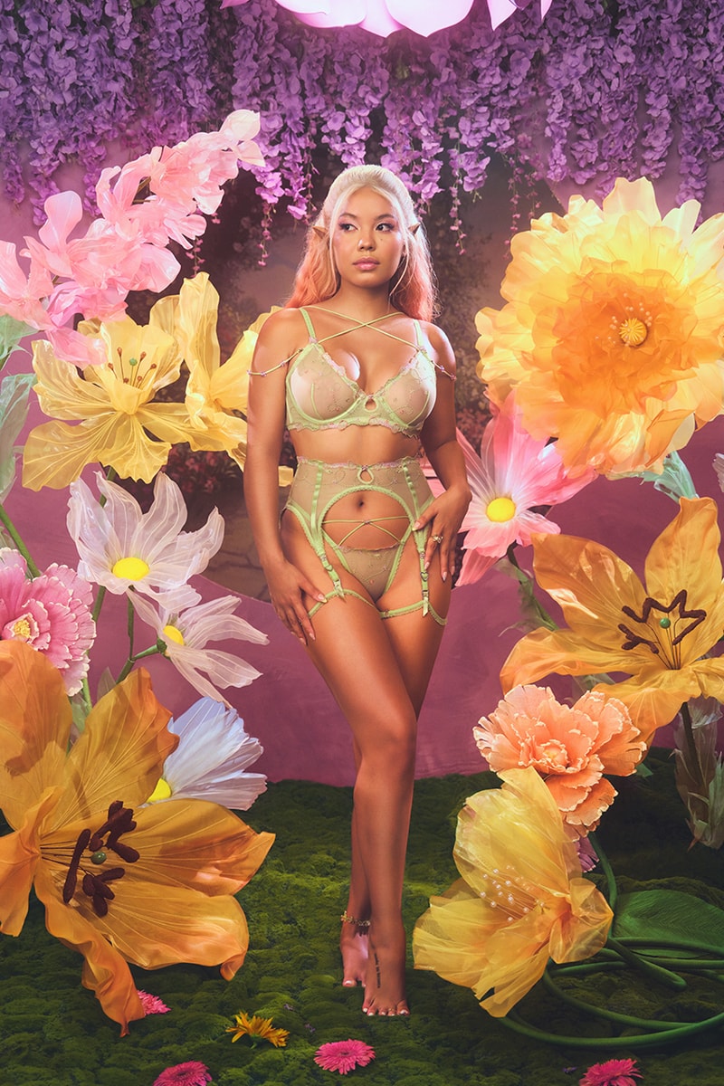 voight fairies lingerie bras underwear