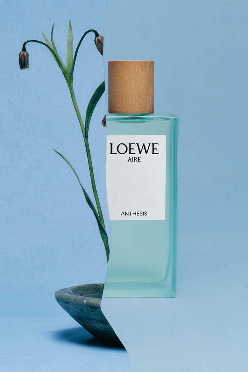 Loewe botanical rainbow perfume aire anthesis release price info