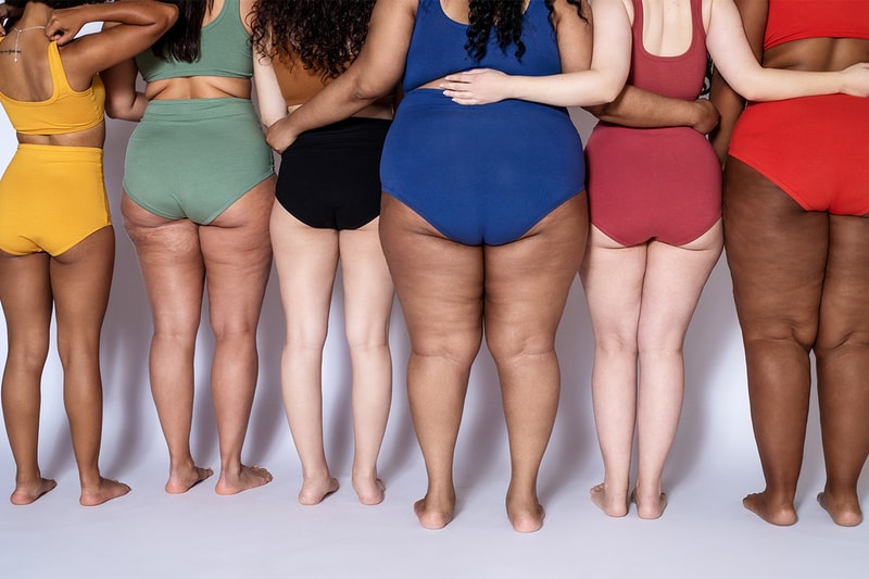 Fatphobia Sarah Baartman Victorian Era Bustle Racist Beauty Standards TikTok