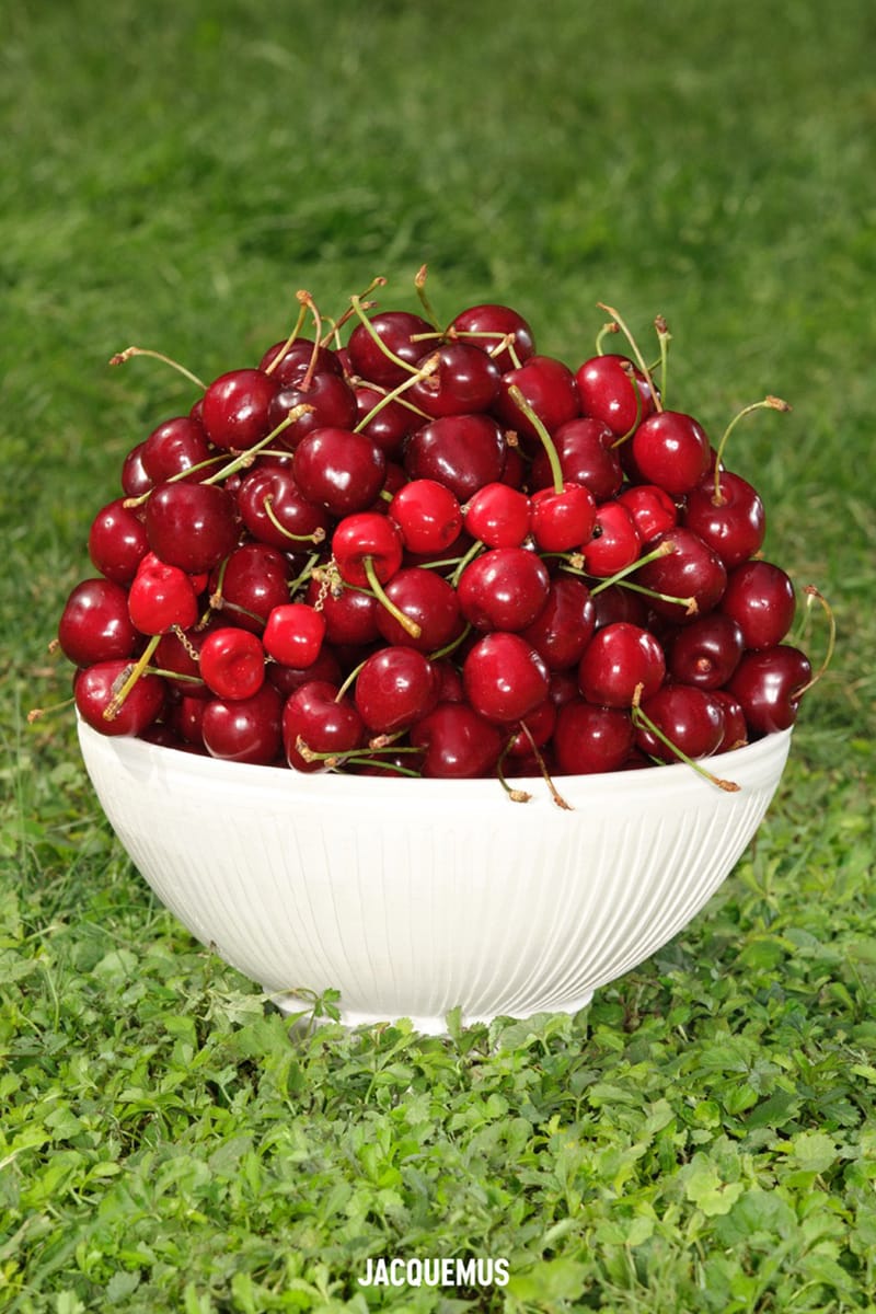 Gigi Hadid, Jacquemus, LE CHOUCHOU,