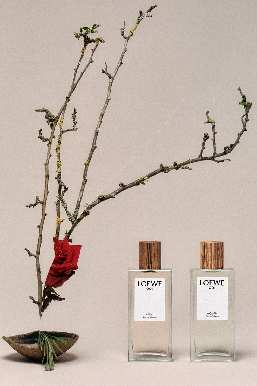 Loewe botanical rainbow perfume aire anthesis release price info