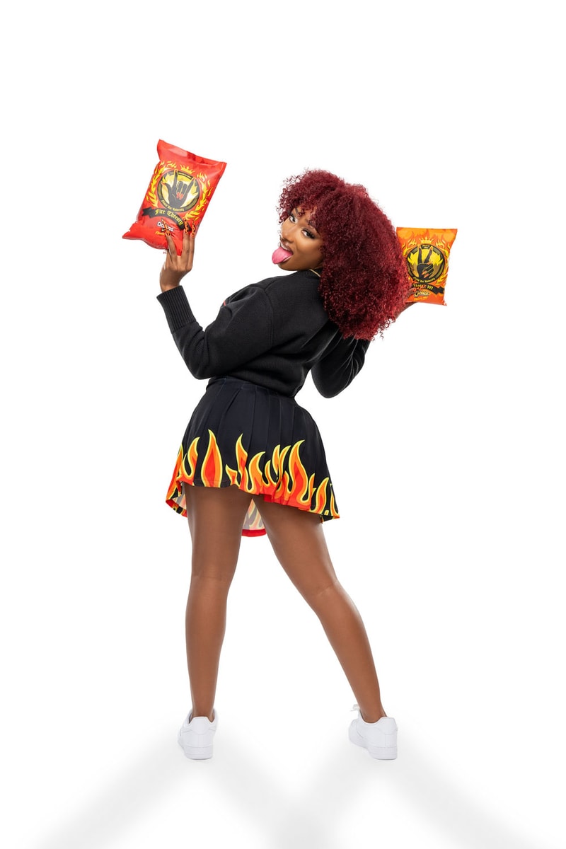 flamin' hot megan thee stallion melody ehsani hbcu historical black colleges and universities homecoming season texas southern university chef scotty fashion