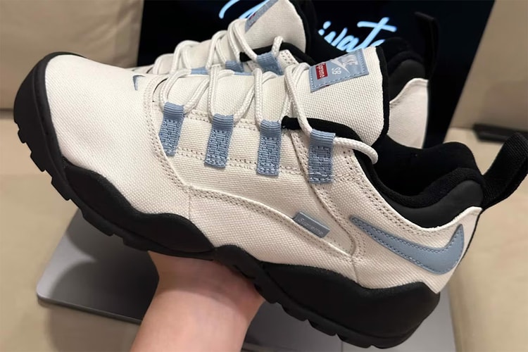 Supreme and Nike Tease Collaborative SB Air Darwin Low Sneaker