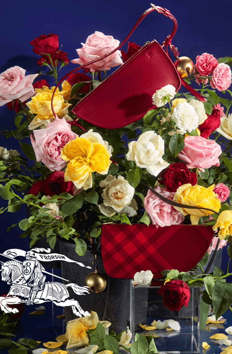 animals burberry ducks dogs birds holiday christmas bags accessories scarves