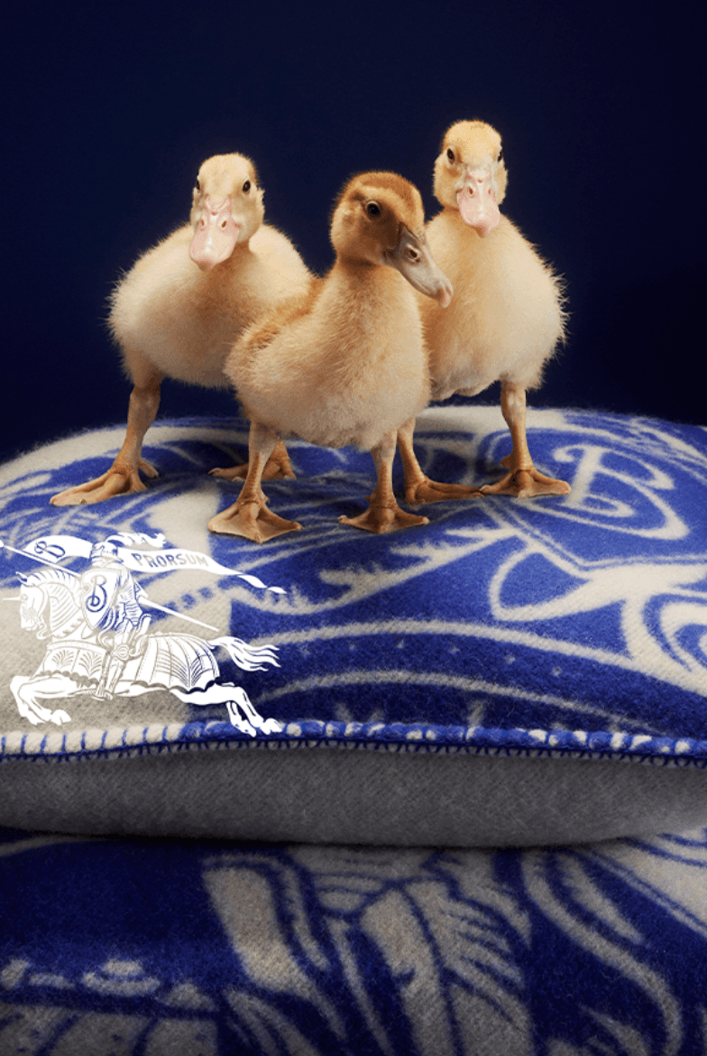 animals burberry ducks dogs birds holiday christmas bags accessories scarves