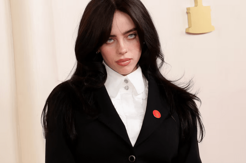 billie eilish oscars red carpet chanel gaza red pin 