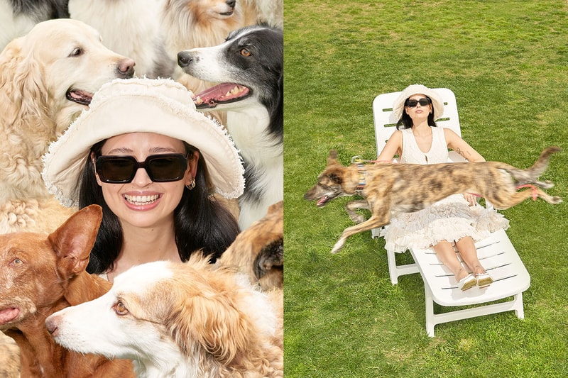 meller sunglasses ines silva influencer girl dogs glasses animals