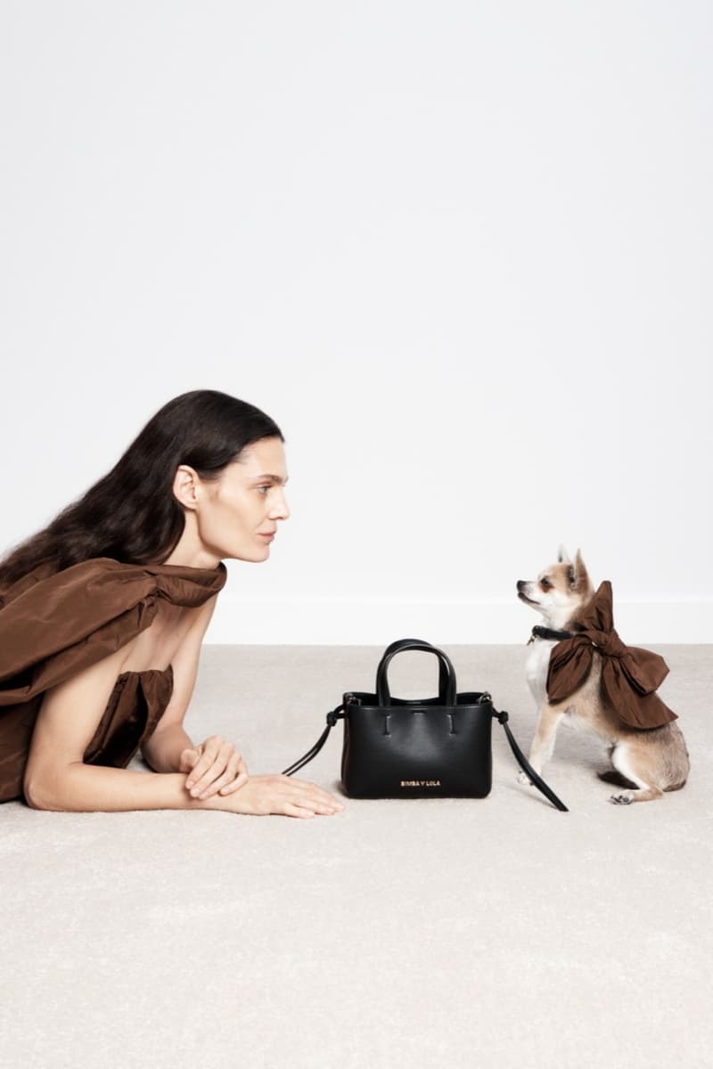 bimba y lola dog chihuahua bags woman 