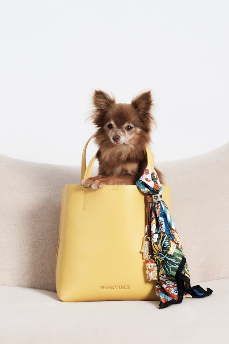 bimba y lola dog chihuahua bags woman 