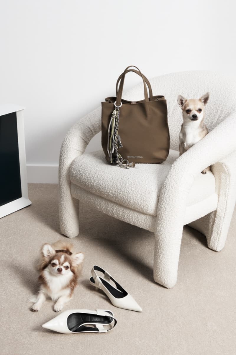 bimba y lola dog chihuahua bags woman 