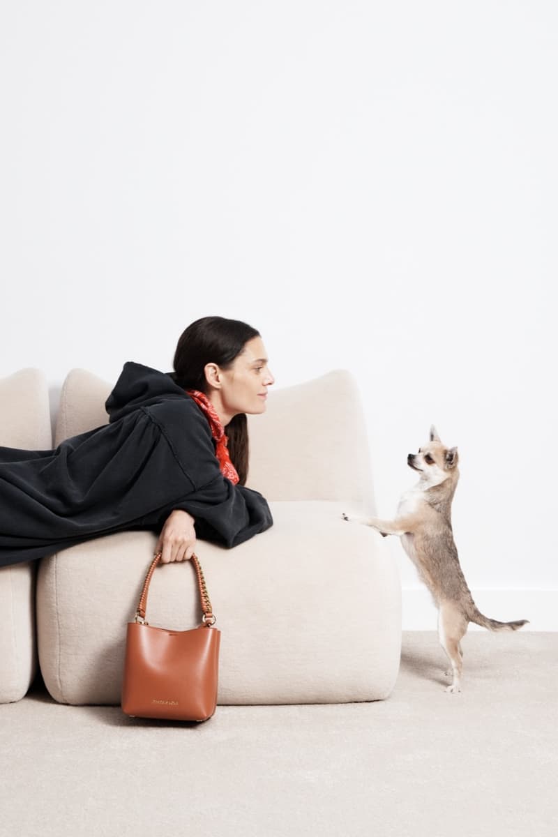 bimba y lola dog chihuahua bags woman 