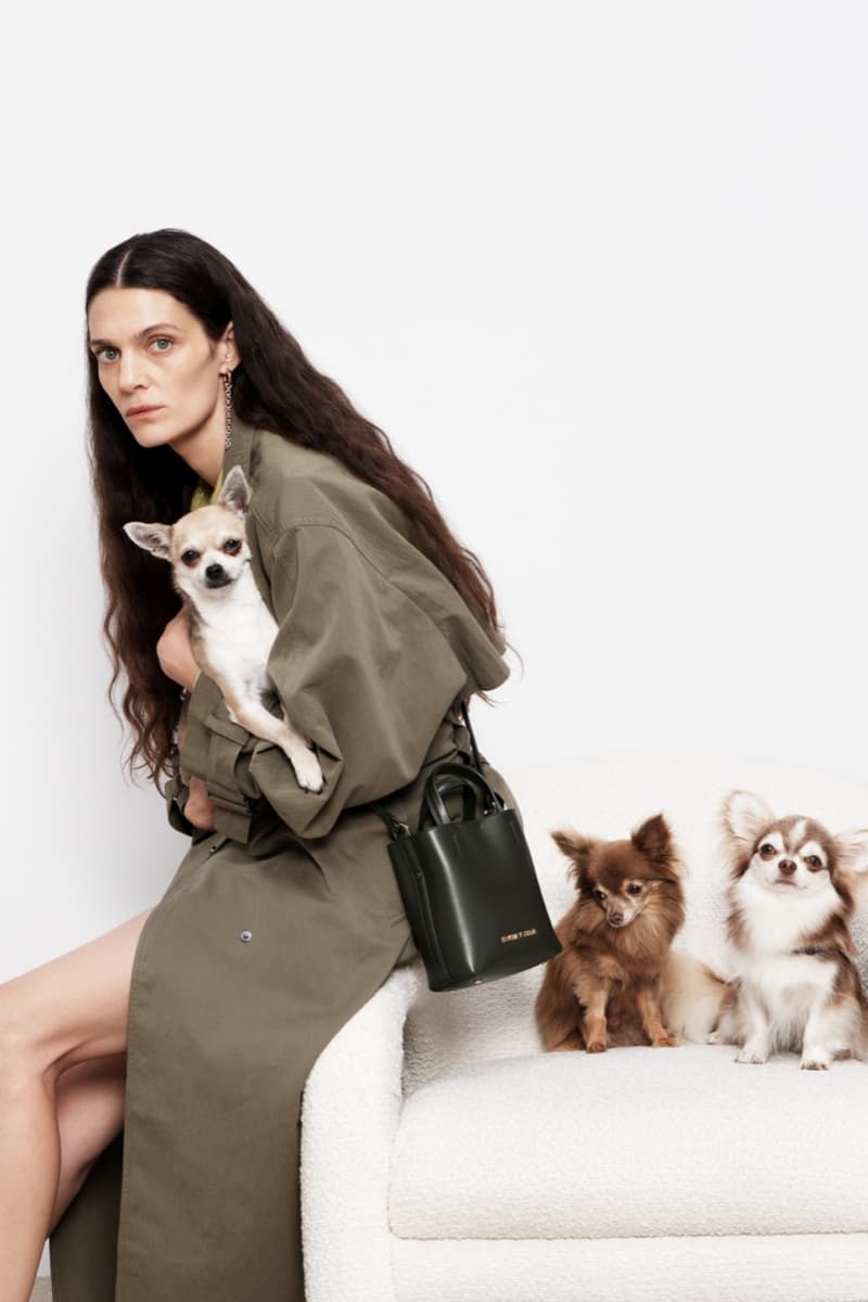 bimba y lola dog chihuahua bags woman 