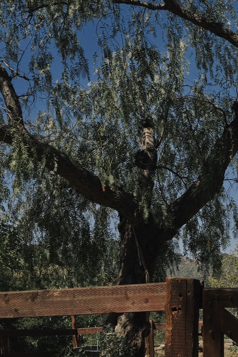 salomon ama lou girl musician singer crop top jeans horse sneakers shoes