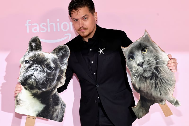 VS Fashion Show 2024: Dylan Sprouse Made Signs for Wife Barbara Palvin