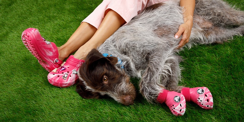 Crocs Melepaskan Crocs untuk Anjing: Crocs Melepaskan Crocs untuk Anjing: