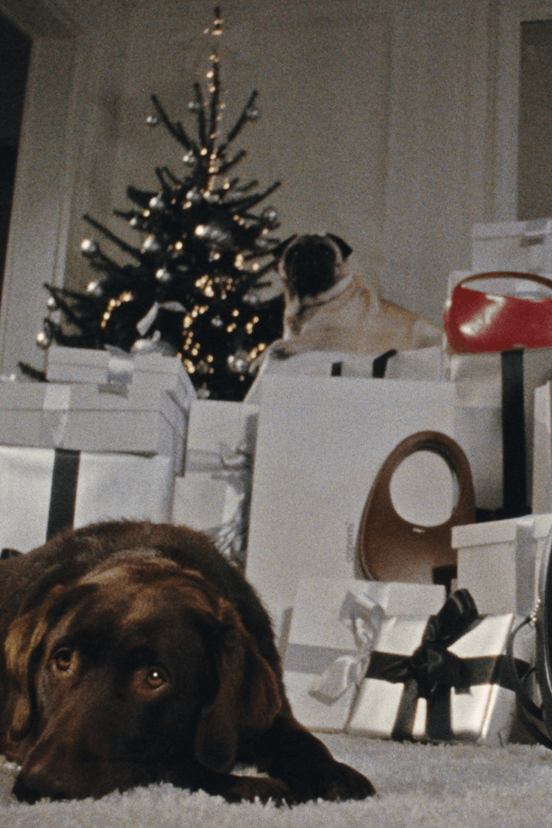 coperni holiday pug dog furry animal red leather boots