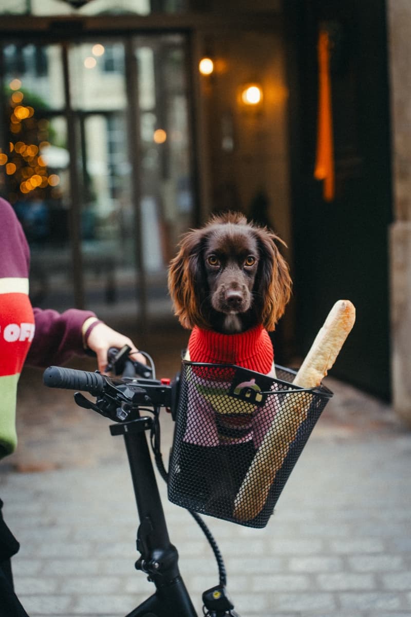 the hoxton hotel barc london brand dog clothes christmas jumper festive animal