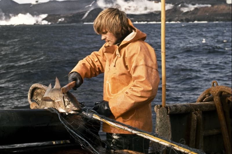 66 north iceland archive woman man puffer jackets coats outdoors