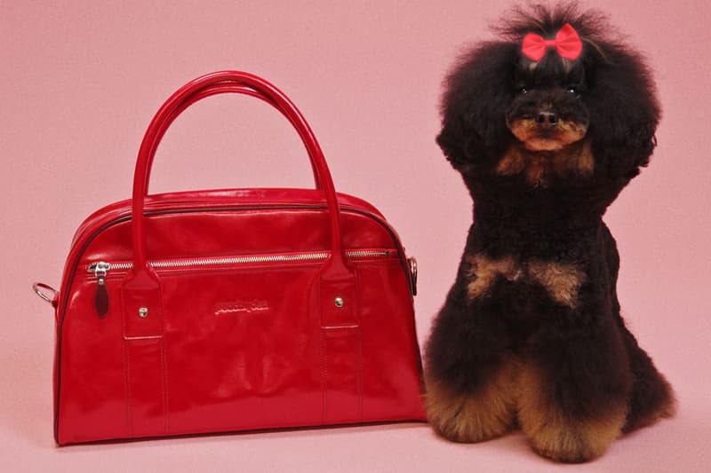 acne studios, charli xcx, bowling bag, curved shape, leather bag, pink, red