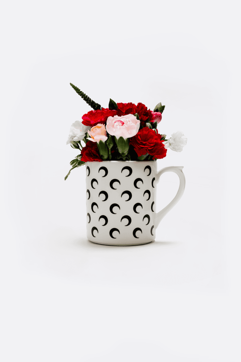 marine serre, crescent moon, cups, saucers, coffee, plates, homeware, tableware