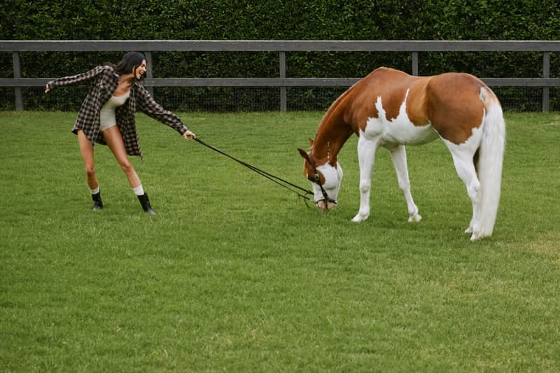 kendall jenner, fwrd, western, horse, swimwear, bikinis, caps