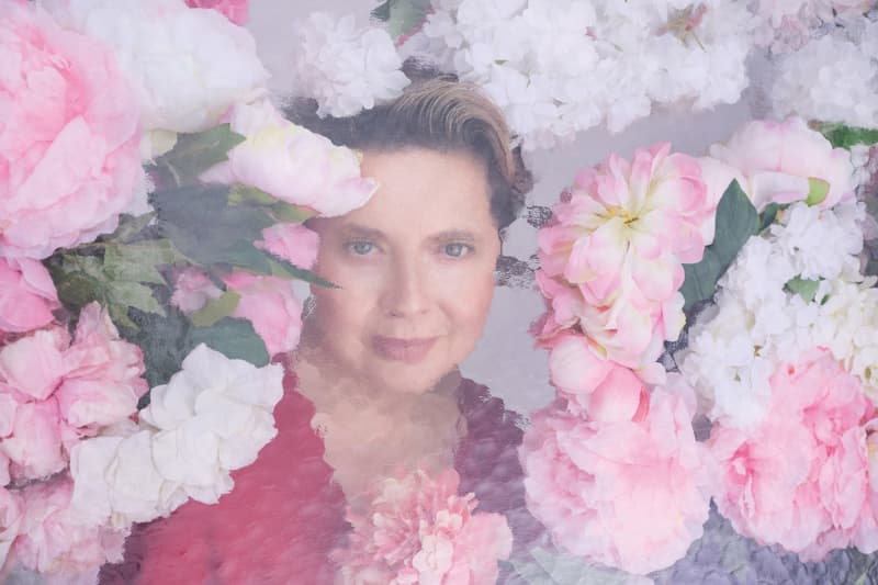 venus williams, tilda swinton, irina shayk, calendar, photoshoot, women, bodies