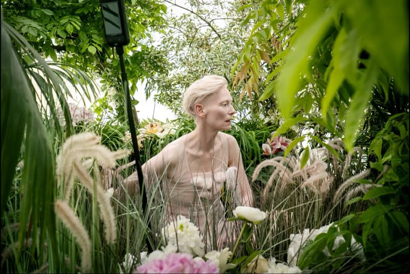 venus williams, tilda swinton, irina shayk, calendar, photoshoot, women, bodies