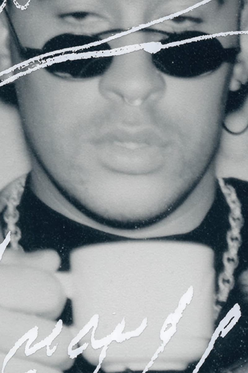 bad bunny photo book stillz