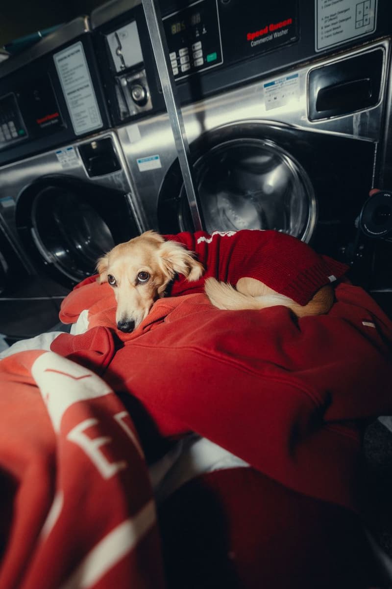 Charles Leclerc, Alexandra Saint Mleux, Fashion, Formula 1, F1, Sportswear, Atheleisure, Lifestyle, Dog Clothes