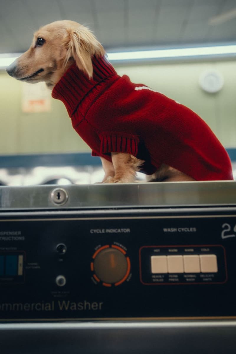 Charles Leclerc, Alexandra Saint Mleux, Fashion, Formula 1, F1, Sportswear, Atheleisure, Lifestyle, Dog Clothes